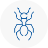 Ant Removals In Birmingham