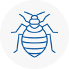 Bed Bug Extermination In Birmingham