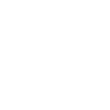 Domestic Ant Control For Birmingham