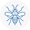 Birmingham Hornet Nest Removals