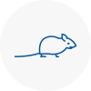 Mice Exterminators In Birmingham