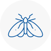 Moth Control Specialists In Birmingham