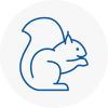 Birmingham Rodent Removals