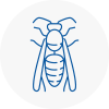 Birmingham Wasp Nest Removal